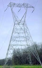 Four dead as high tension wire falls inside dam in Jamshedpur