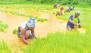 Non payment of paddy dues to farmers is unfortunate: Deepak Prakash