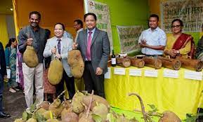 'Jackfruit Mission’ will be a game-changer, says Meghalaya CM