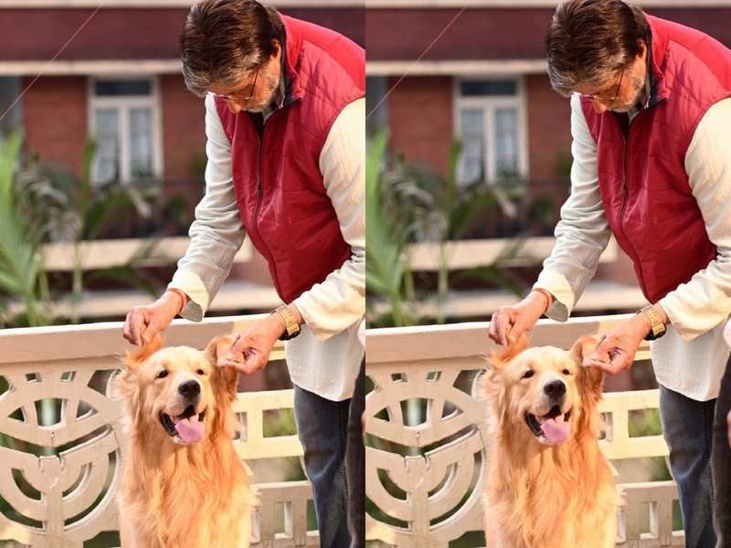 Amitabh Bachchan shares a adorable picture of his 'co-star'