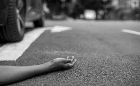 Two including one pregnant woman die in separate incidents in Giridih