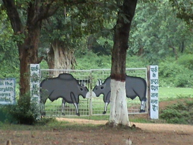 Palamu Tiger Reserve plays an important role in view of biodiversity.