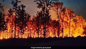 Forest fire near Russia's Chelyabinsk leaves 18 people needing medical aid - Authorities