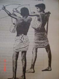 Concerning Declining Numbers of Birhor Tribe in Jharkhand