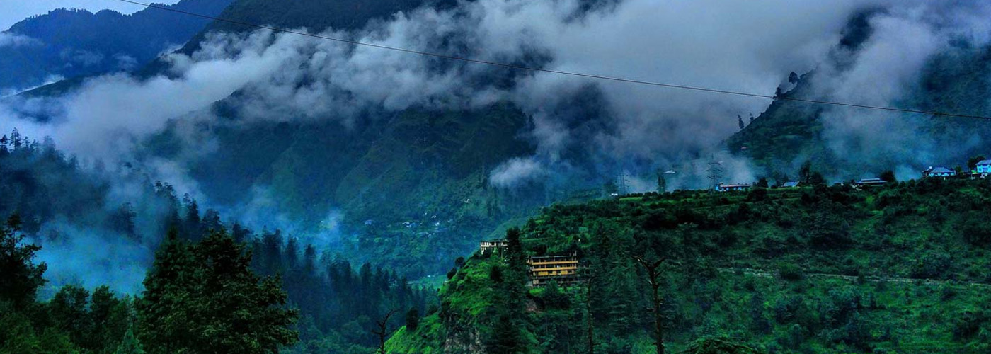 Renaissance of Indian Forest Service