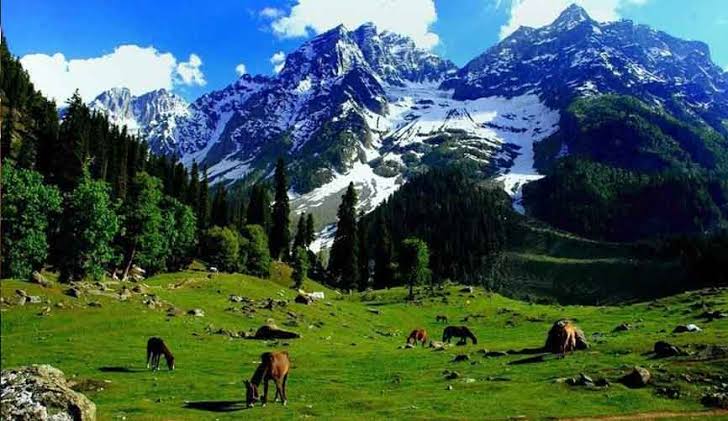 Kashmir: The Land of Knowledge, Faith, and Nationhood