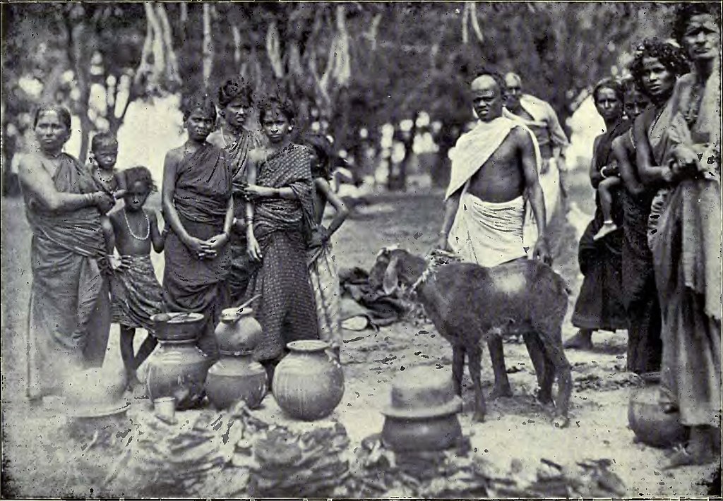 Caste, Dharma, and the Denial of Dignity: A Crisis in Modern India