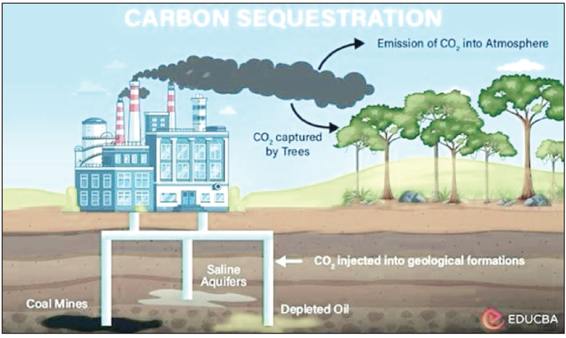 Recalibrating India’s Green Jurisprudence: Ecological Watersheds, Carbon Sinks and the Regulatory Overhaul