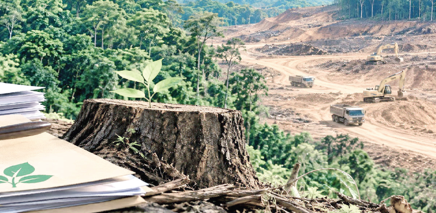 Joint Surveys Cannot Correct the State’s Failure to Protect Notified Forests