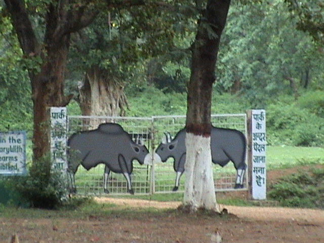 Betla, Netarhat and Lodh Falls Hold National Appeal but Lack Modern Visitor Facilities